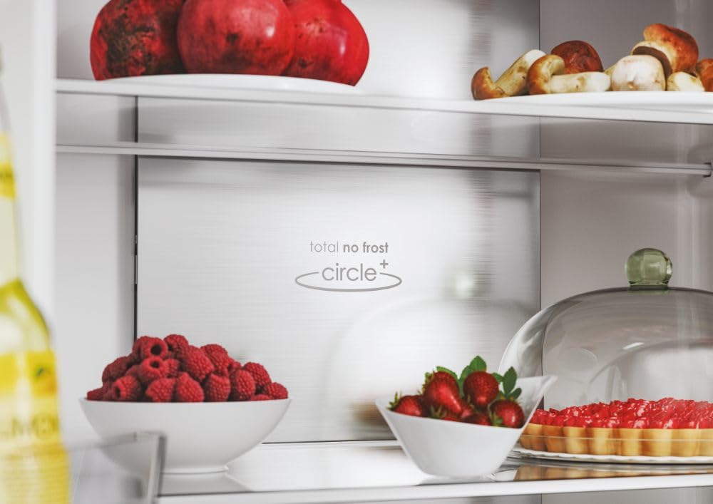 Candy Réfrigérateur 4 portes CFQQ5T817EWPS